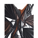 ABSTRACT 8 - houtskool en krijt 90 x 112 cm.